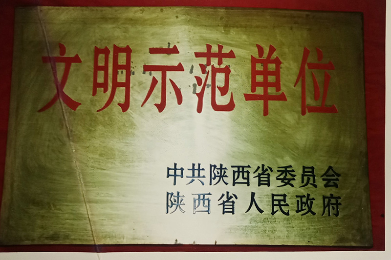 10、省級-陜西省文明示范單位.jpg